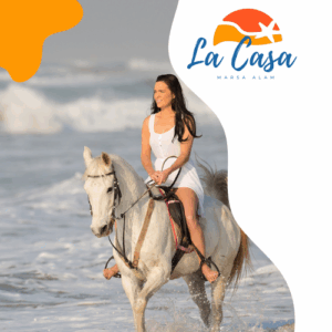 Horse Riding in Marsa – Sea & Desert